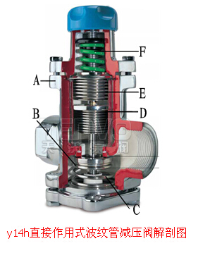 y14h直接作用式波紋管減壓閥解剖圖